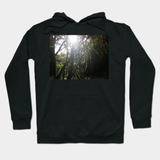 Tansanian Forest Hoodie